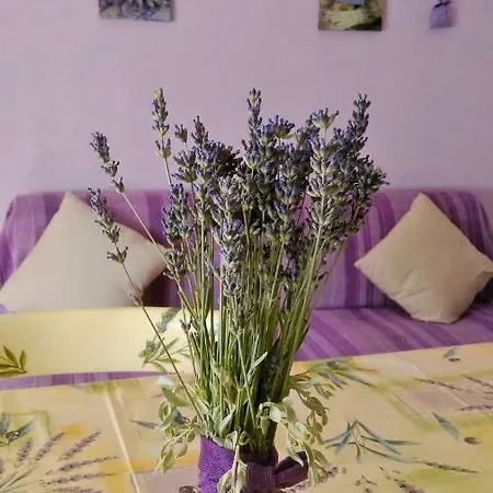 Stjepic