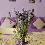 Stjepic
